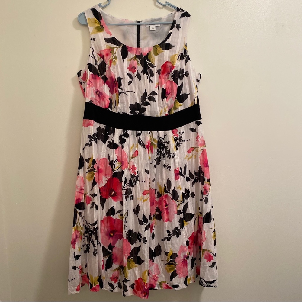 Dressbarn woman 2 piece set Size 16W